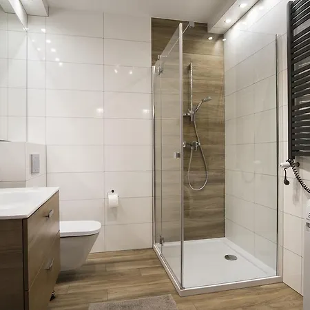 Апартаменты Apartament Pod Jeleniem Закопане